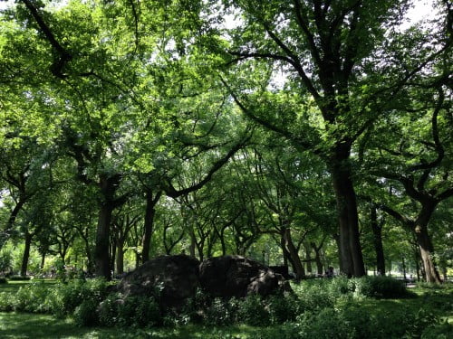 central park