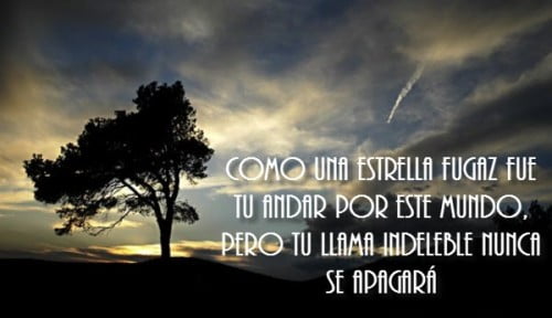 Frases para un amigo fallecido: cómo te recuerdo en 15 líneas :Mujer y Punto