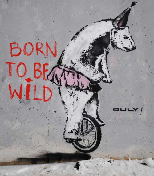 graffitis