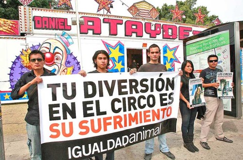 protesta-circo-pag-7-1