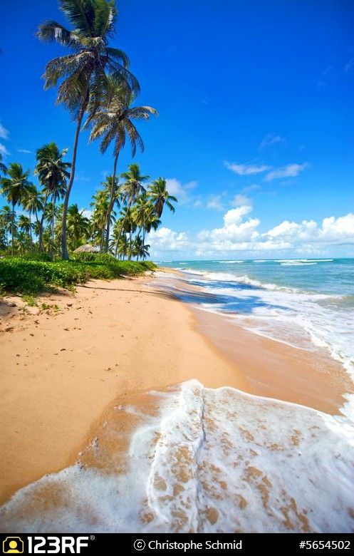 salvador de bahia