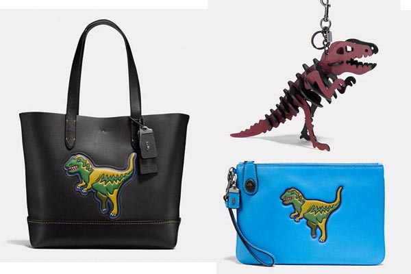 Rexy Accesorios