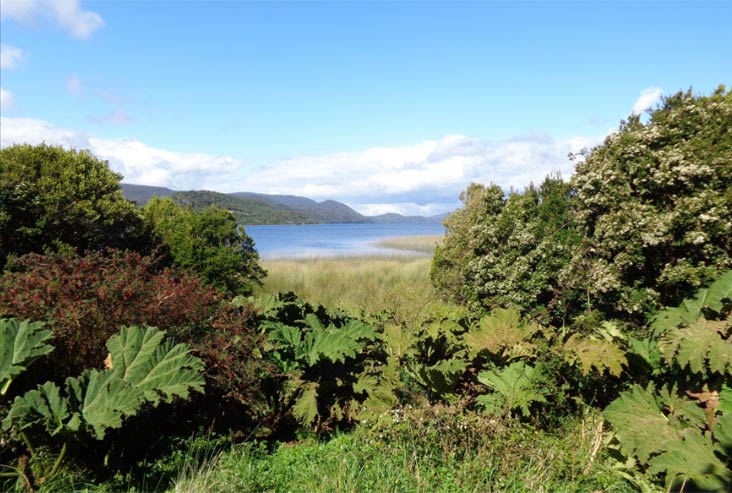 Parques nacionales de Chile Chiloé