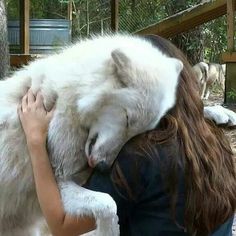 abrazo