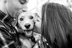 family dog